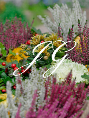 Najaars arrangement