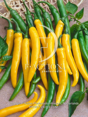 Sunflame