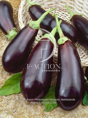 Eggplant