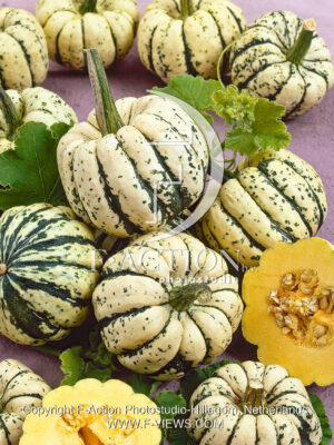 Pumpkin