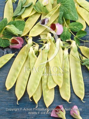 Pea Ambrosia