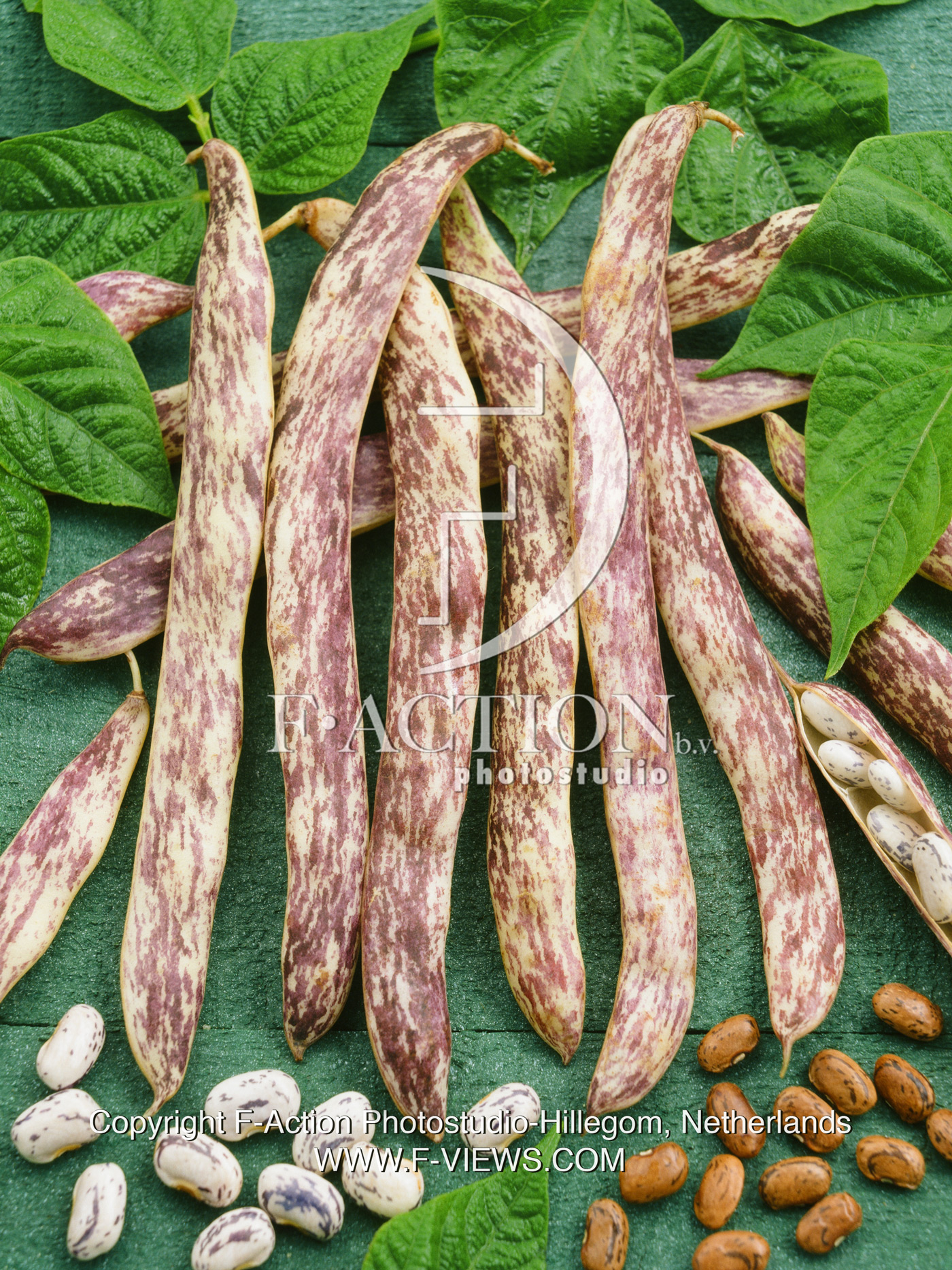 Merveille di Piemonte