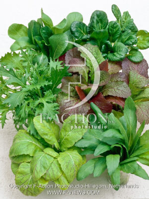 Oriental Lettuce Mixed