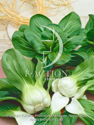 Green Fortune