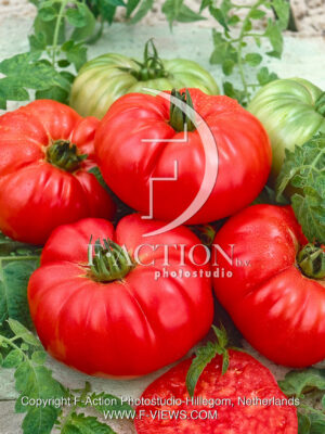 Potiron ecarlate