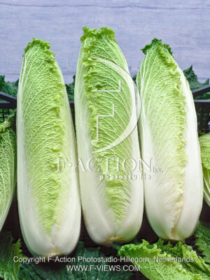 Hybrid F1