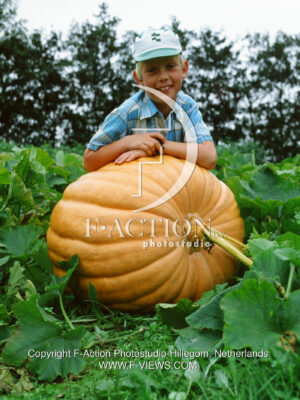 Giant