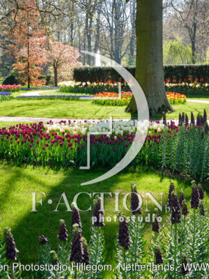 Spring Garden