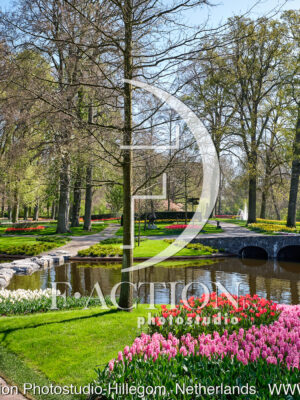 Spring Garden