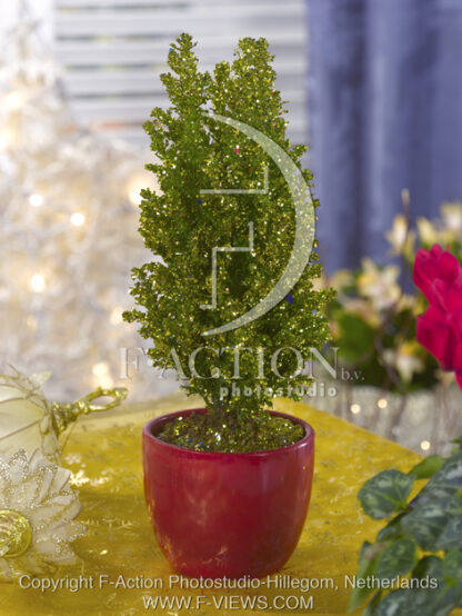 botanic stock photo Christmas Tree